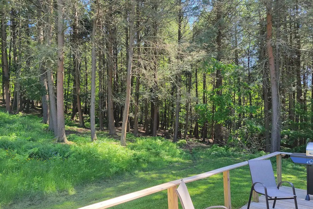 Photo of Outdoor in Westfield