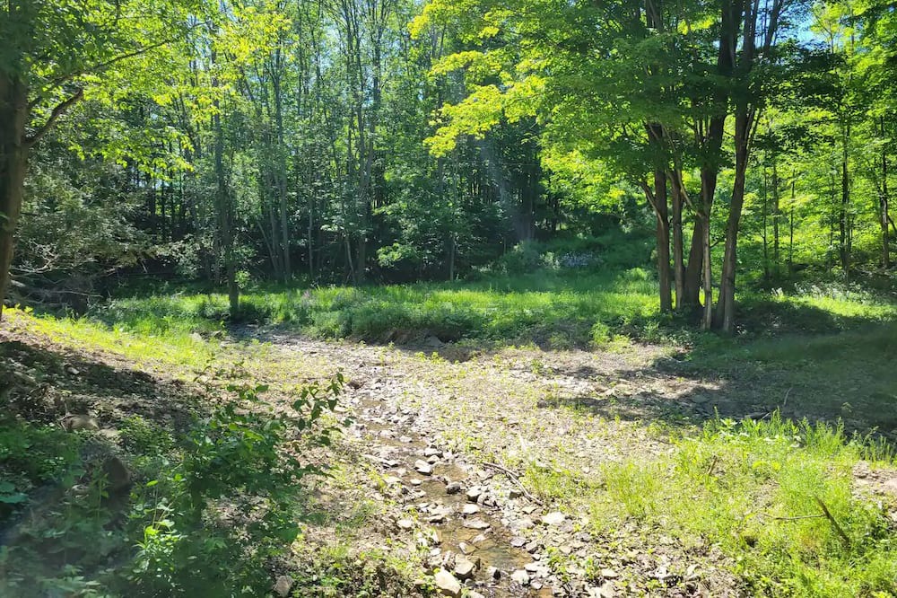Photo of Outdoor in Westfield