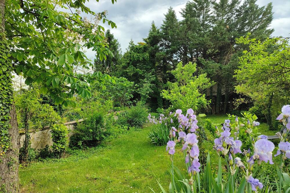 Photo of Outdoor in Saint-Sauveur