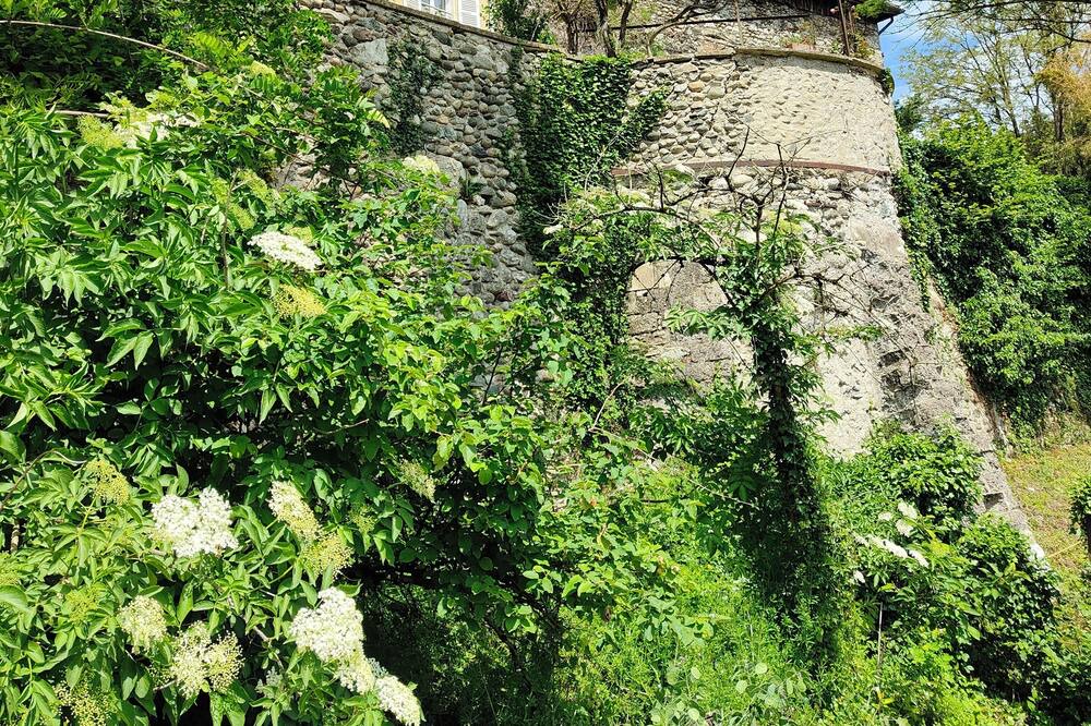 Photo of Outdoor in Saint-Sauveur