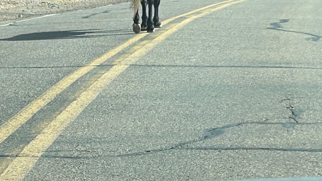 Photo of Others in Placitas