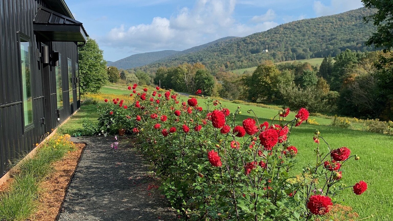 Photo of Outdoor in Hobart