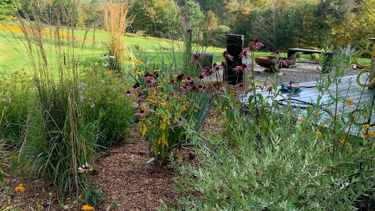 Photo of Outdoor in Hobart