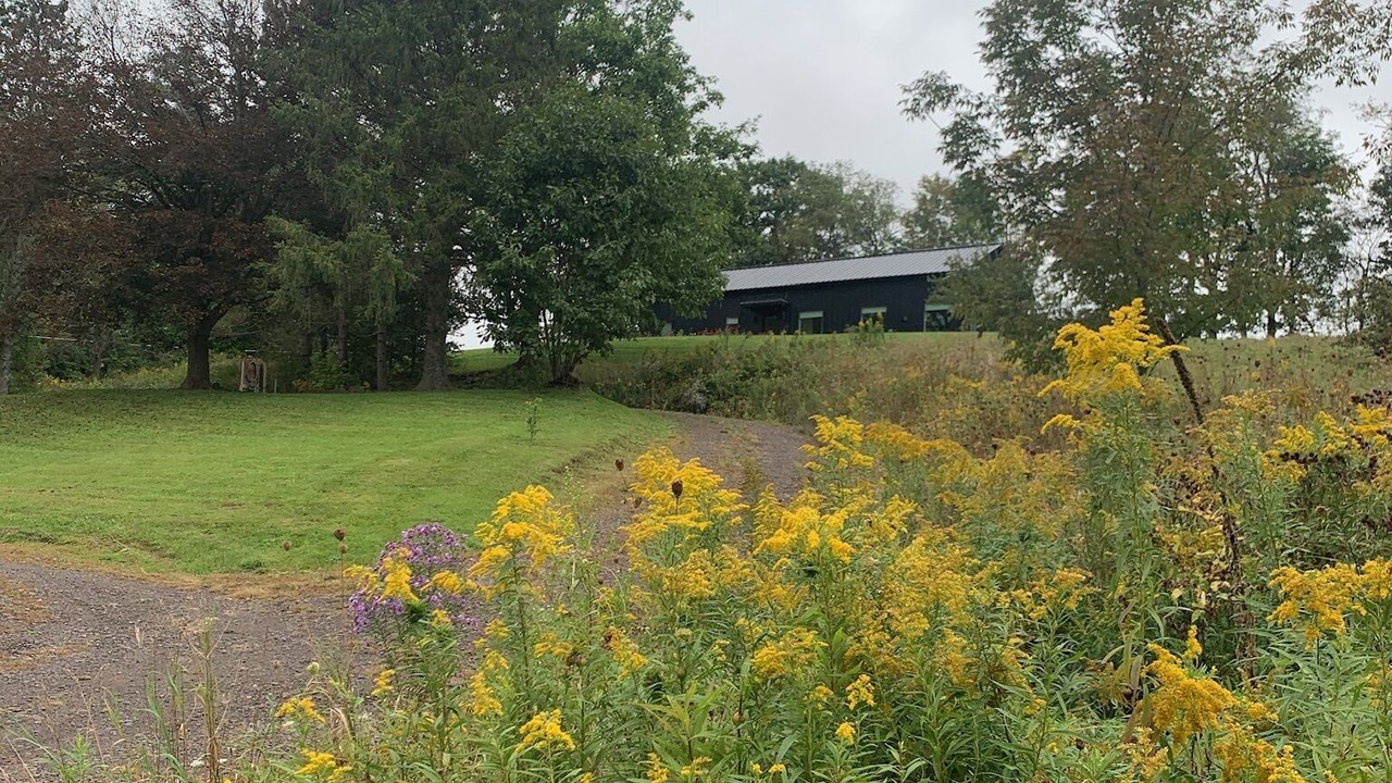 Photo of Outdoor in Hobart