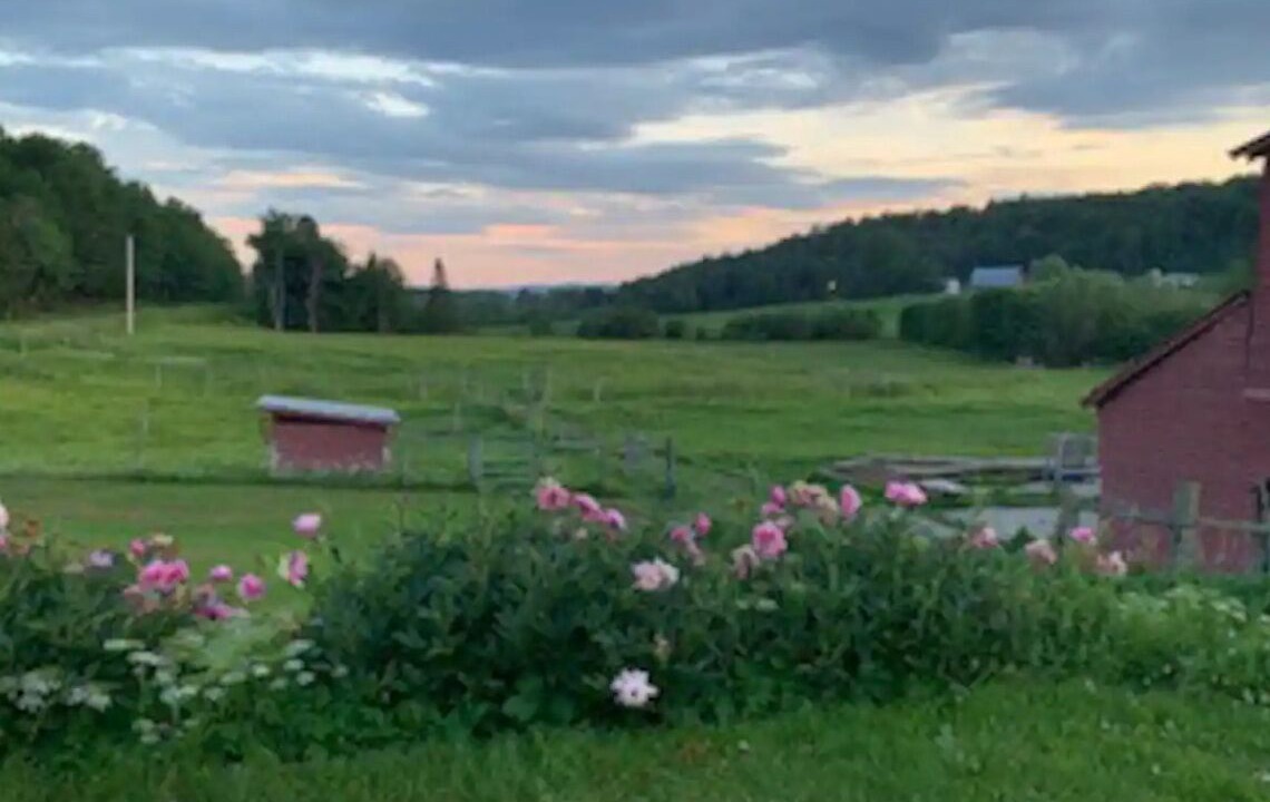 Photo of Others in Hyde Park