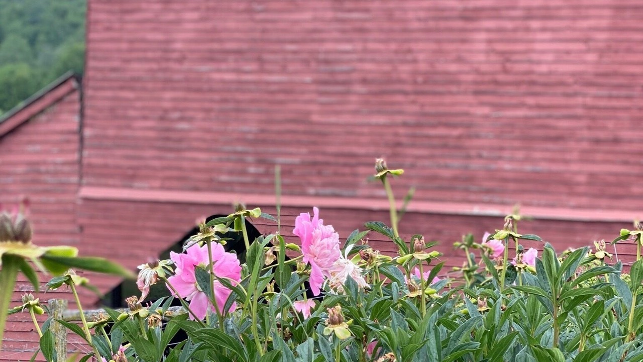 Photo of Outdoor in Hyde Park