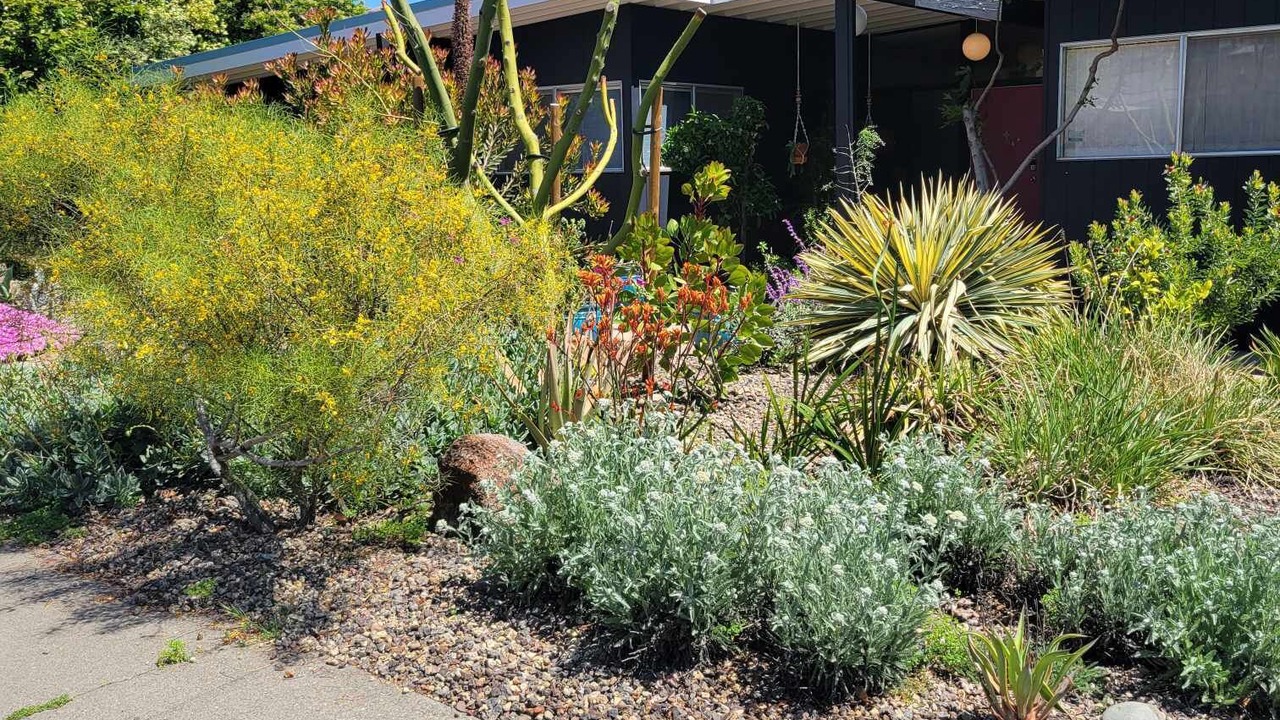 Photo of Outdoor in Carmichael