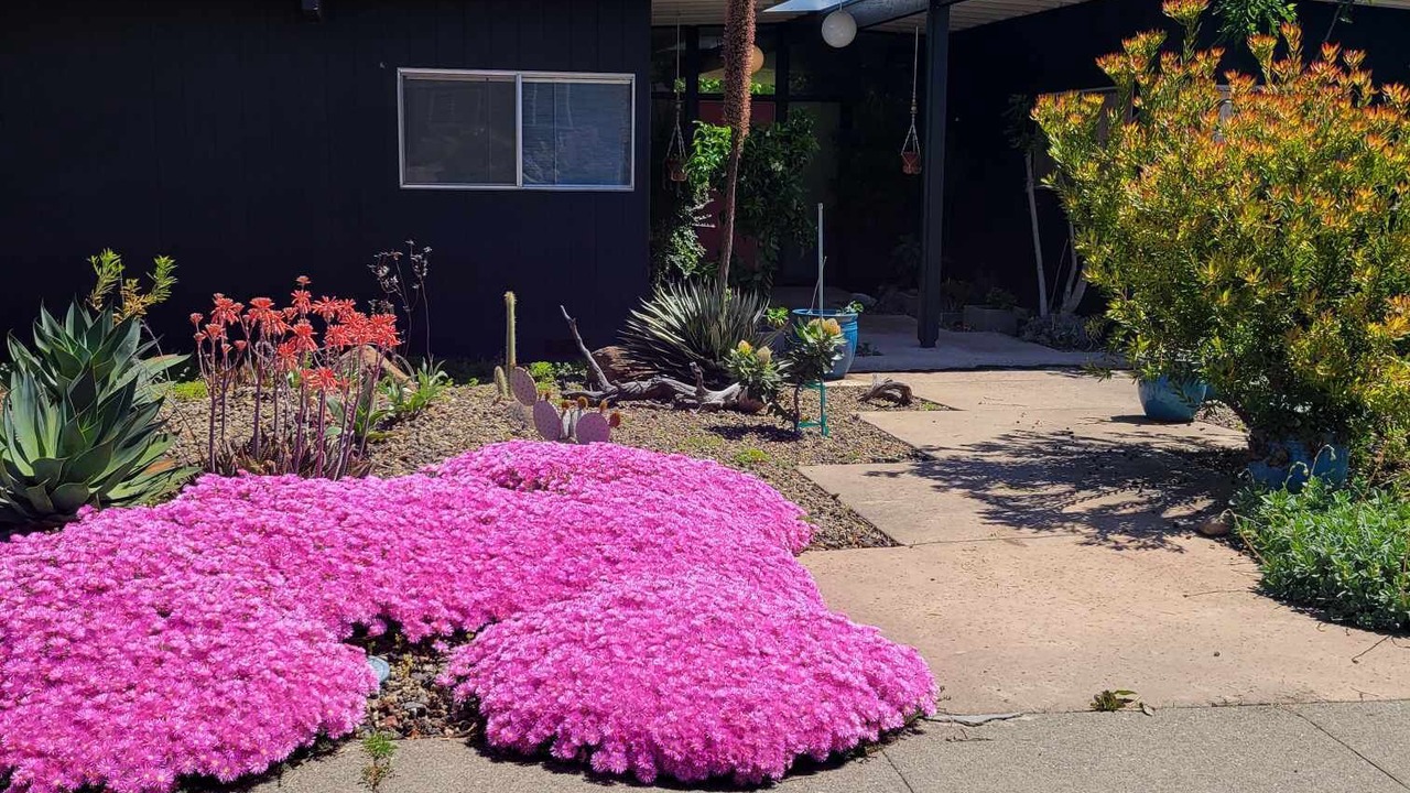 Photo of Outdoor in Carmichael