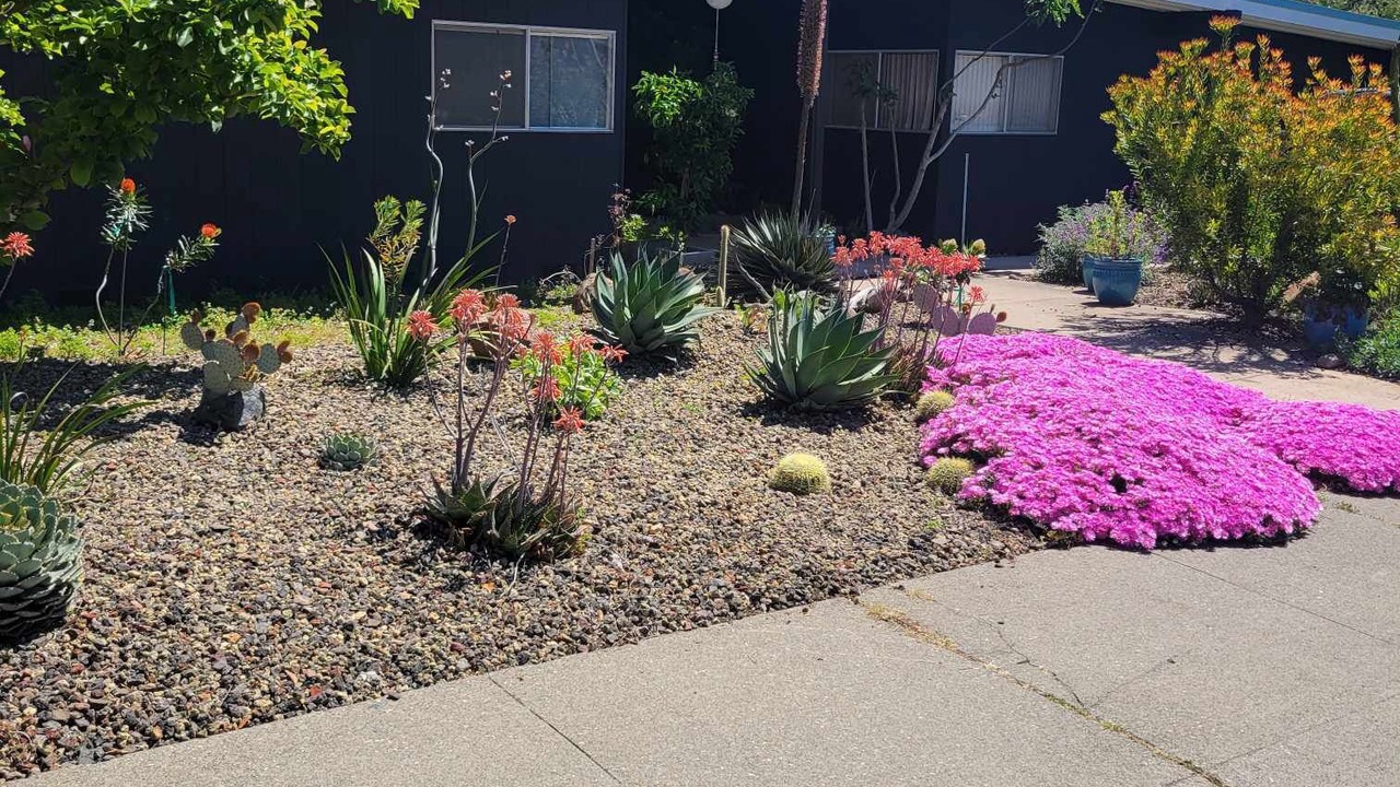 Photo of Outdoor in Carmichael