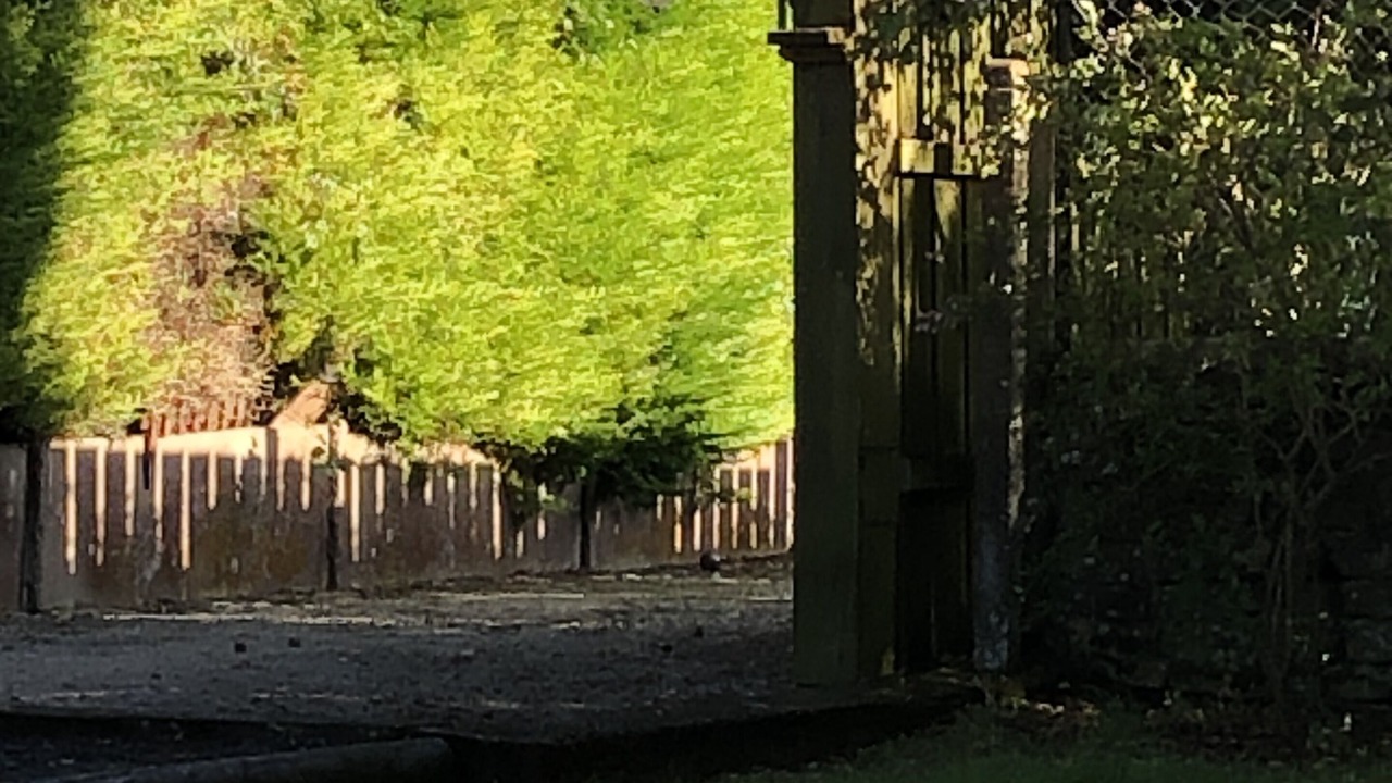 Photo of Outdoor in Longues-sur-Mer