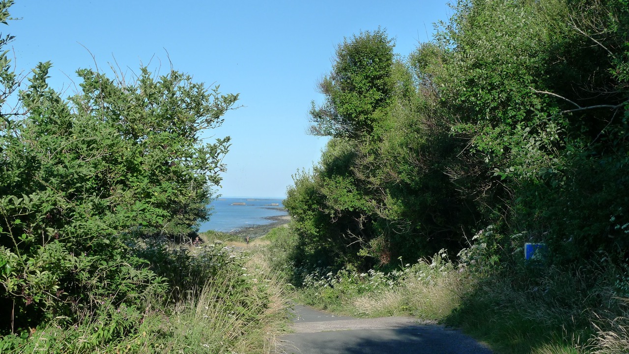 Photo of Others in Longues-sur-Mer