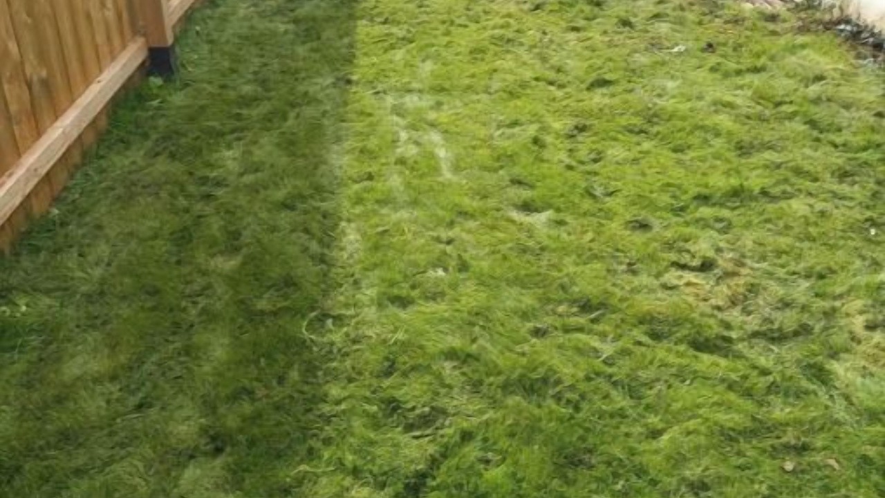 Photo of Outdoor in Larmor-Plage