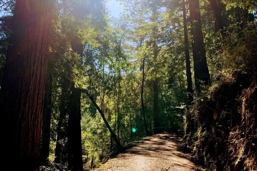 Photo of Others in La Honda