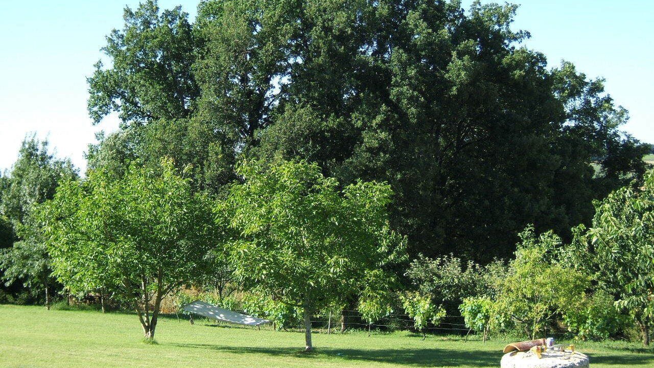 Photo of Others in Aussac