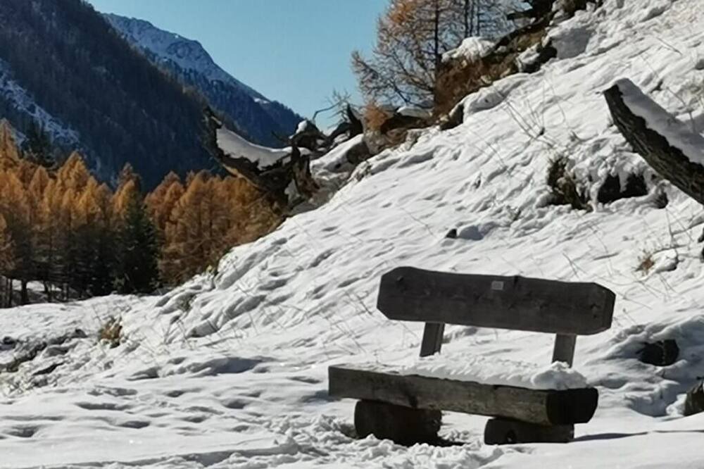 Photo of Others in Ferden
