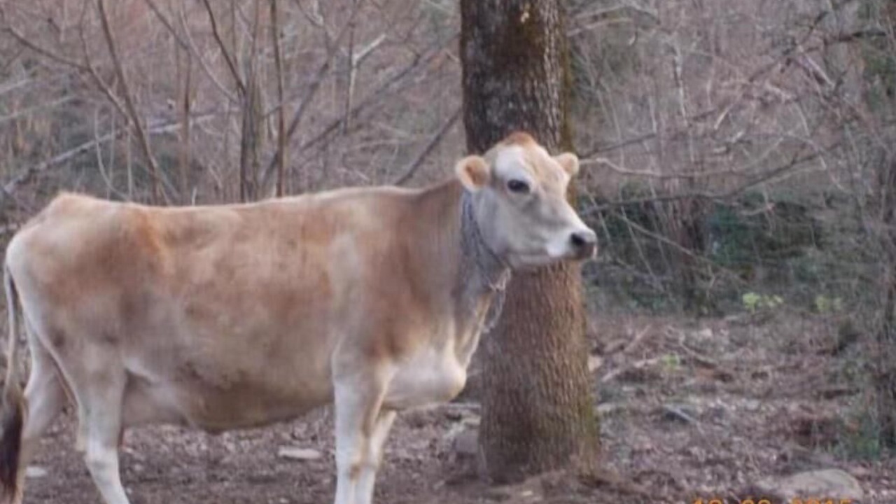 Photo of Others in Malbosc