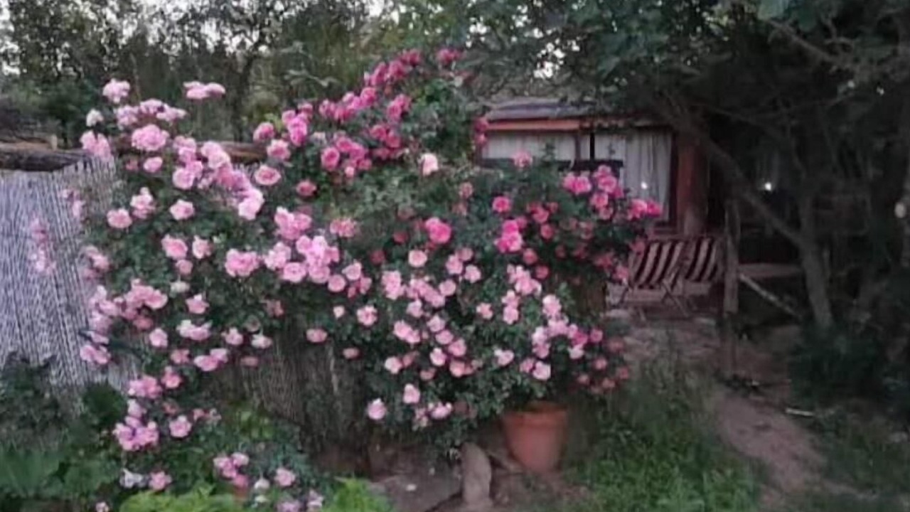 Photo of Outdoor in Malbosc