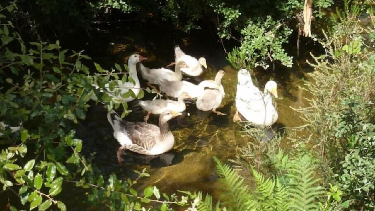 Photo of Outdoor in Malbosc