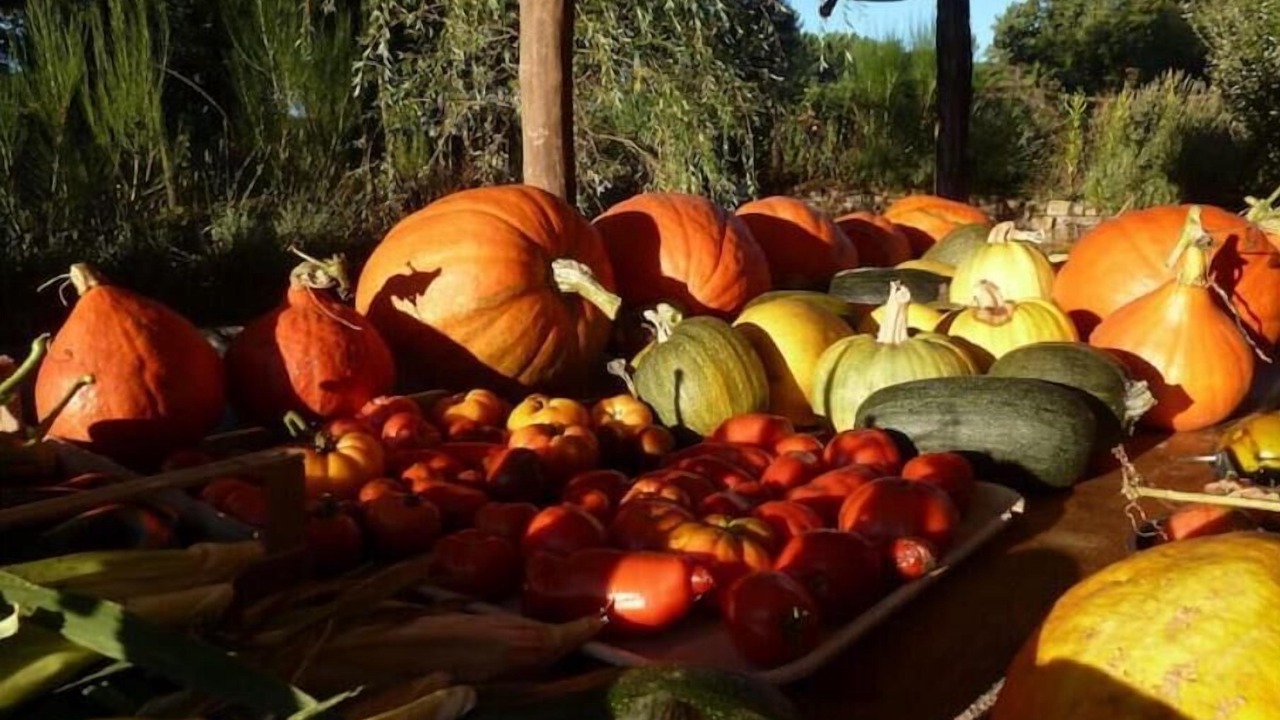 Photo of Others in Malbosc