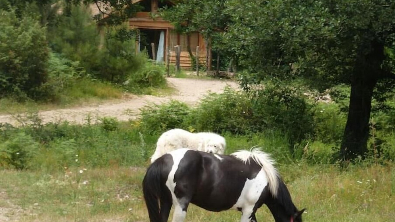 Photo of Outdoor in Malbosc