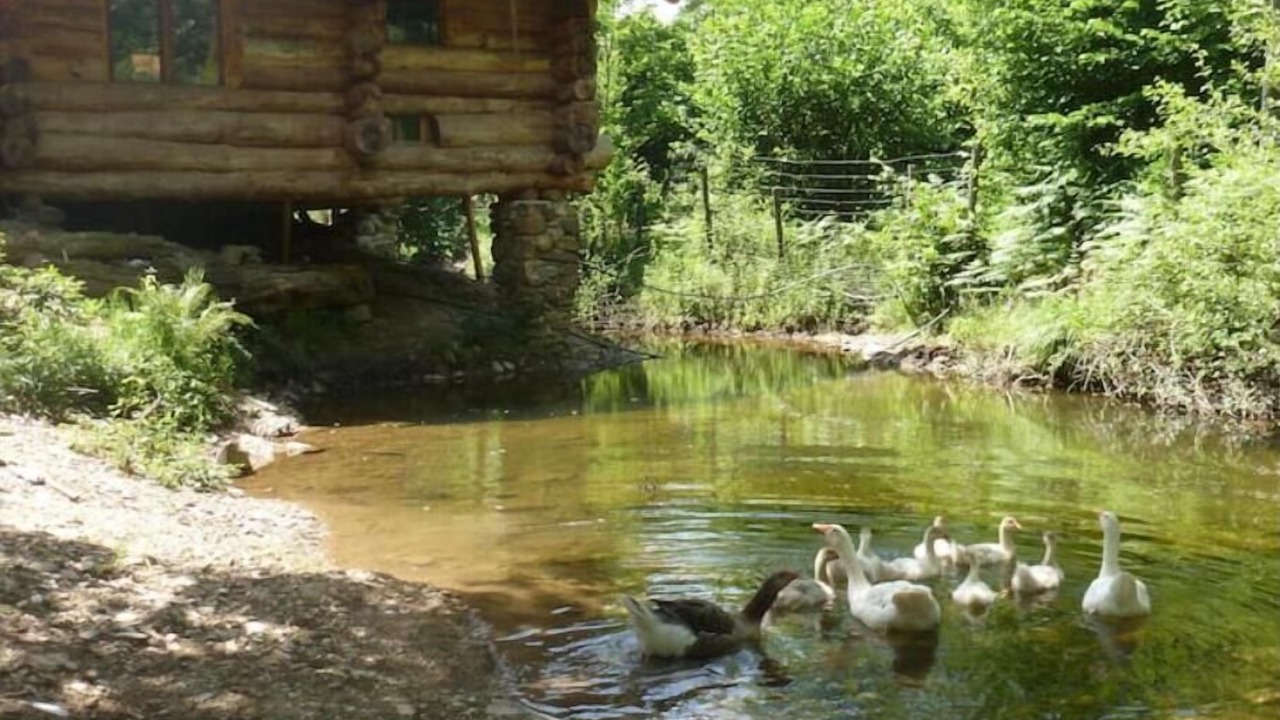 Photo of Outdoor in Malbosc