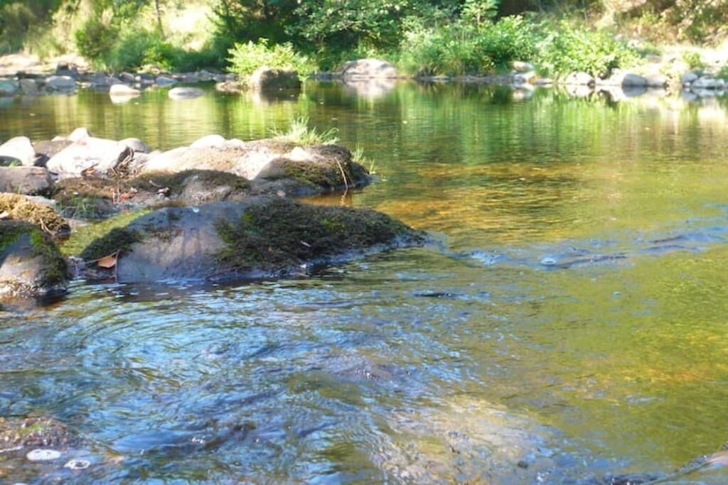 Photo of Others in Malbosc