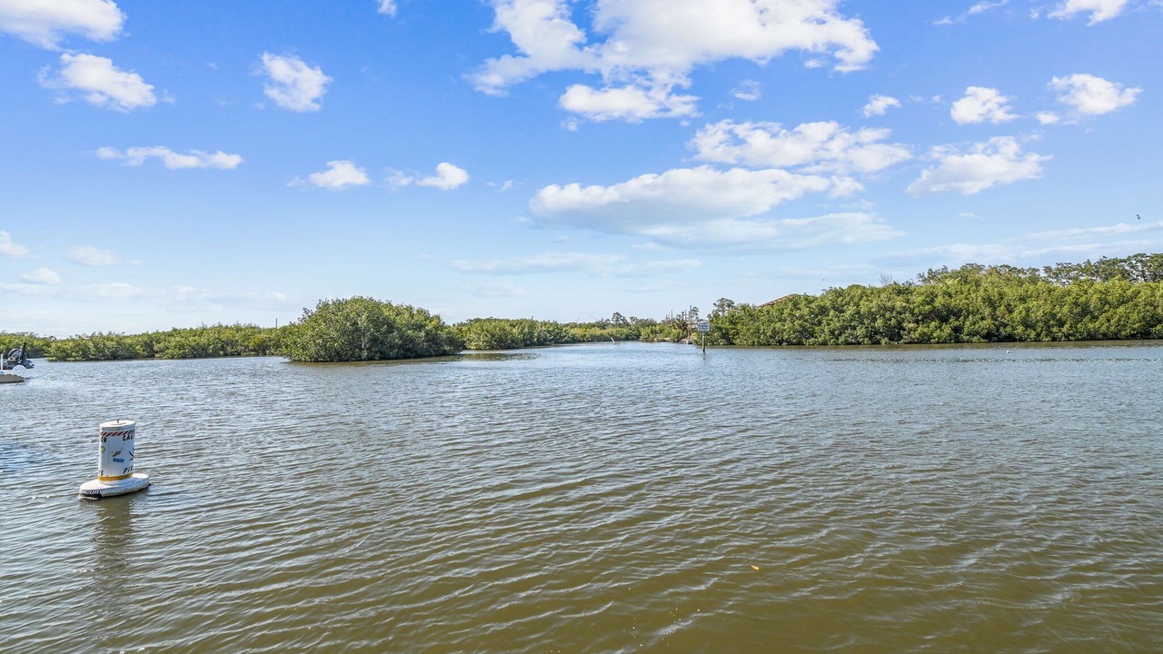 Photo of Outdoor in Oldsmar