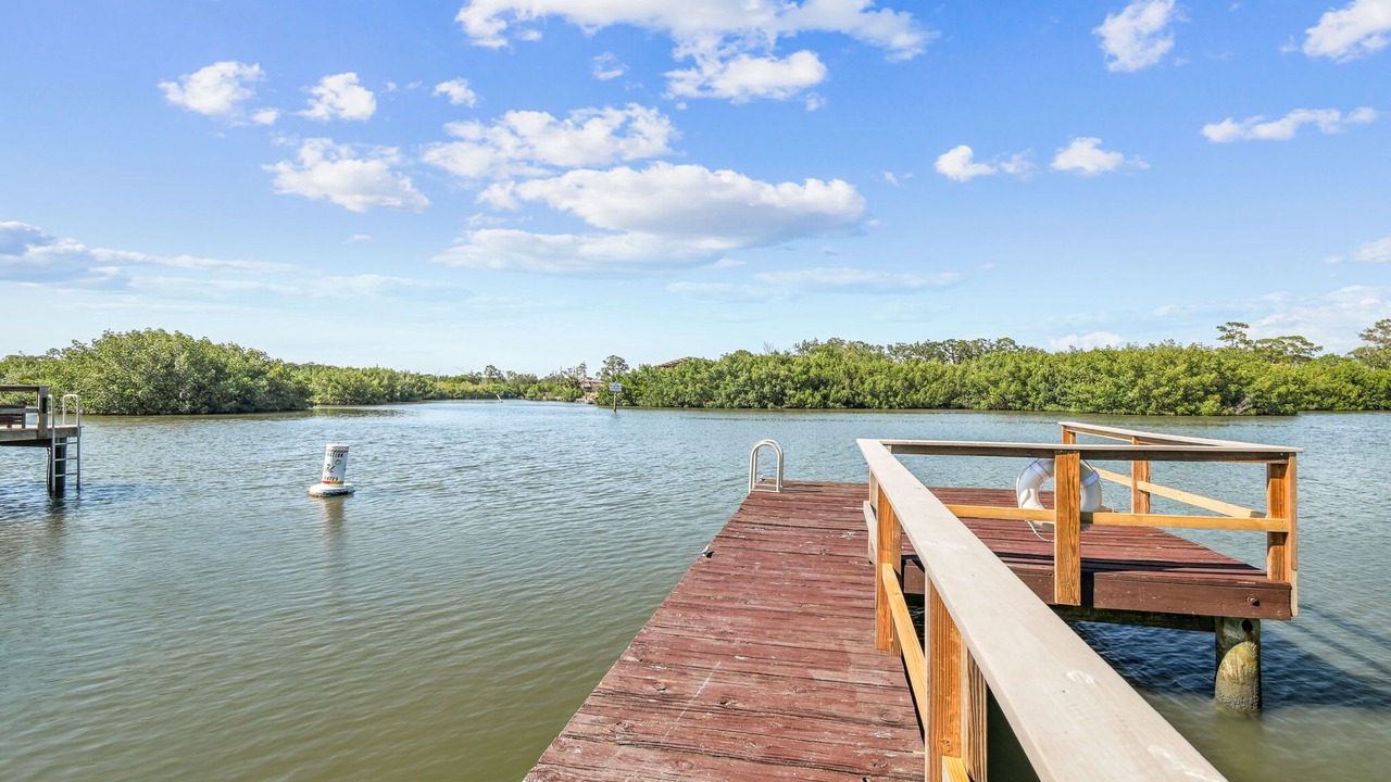 Photo of Others in Oldsmar