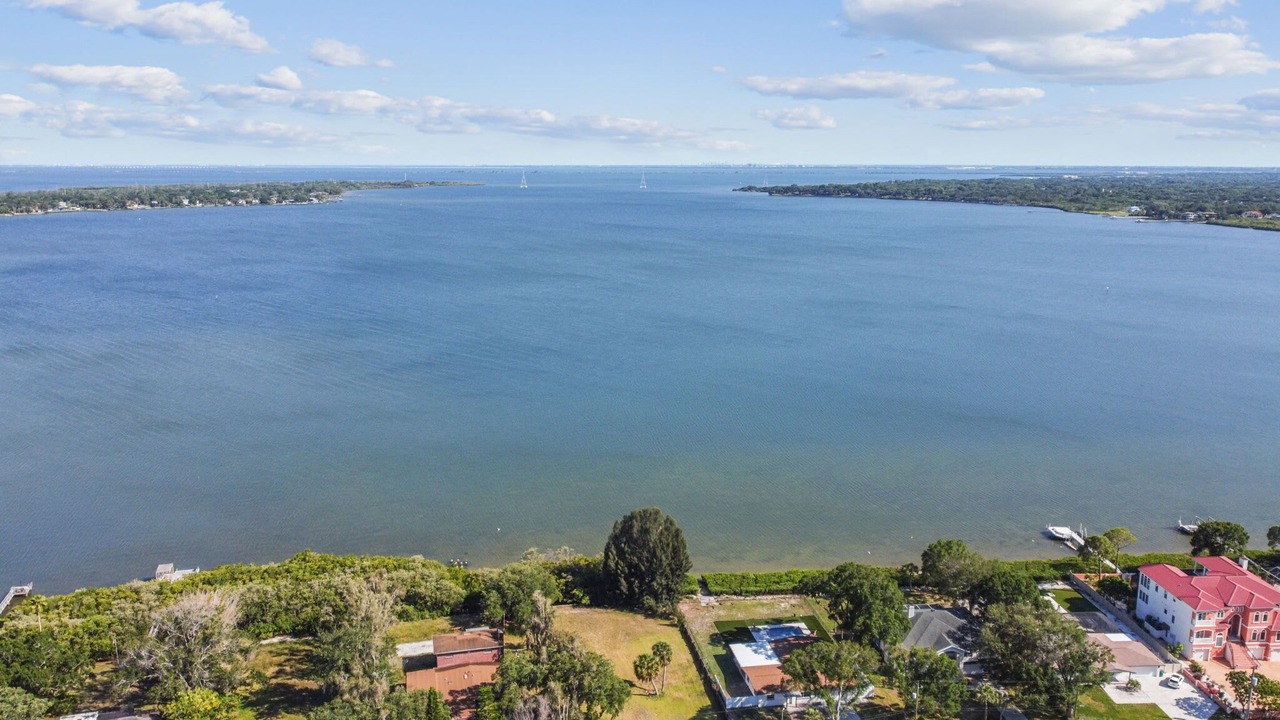 Photo of Outdoor in Oldsmar