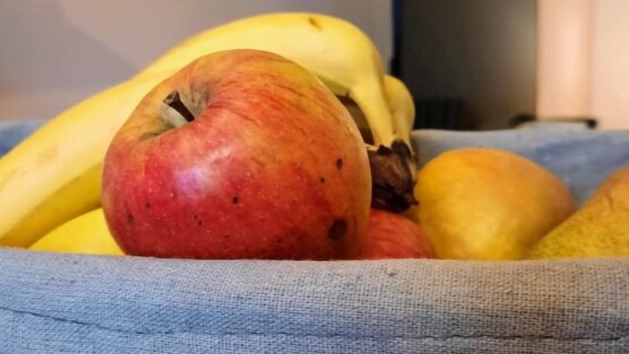 Photo of Others in Pornic