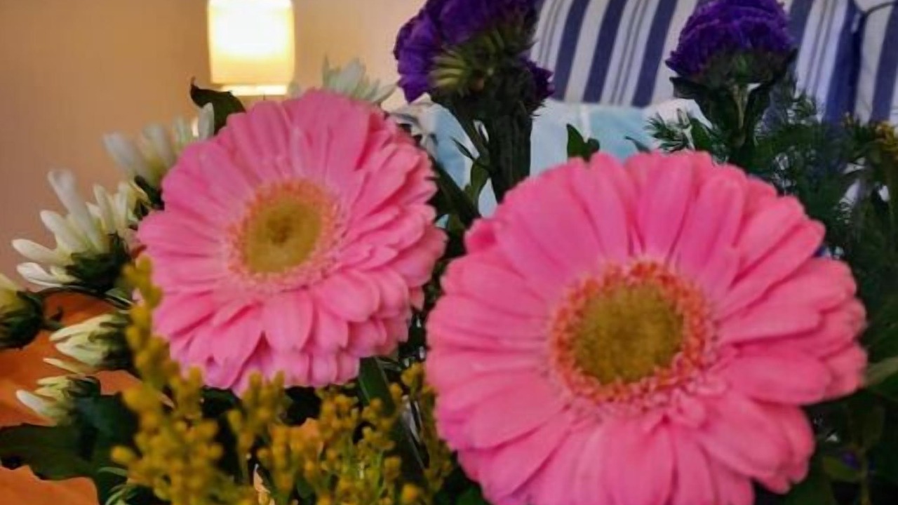 Photo of Others in Pornic