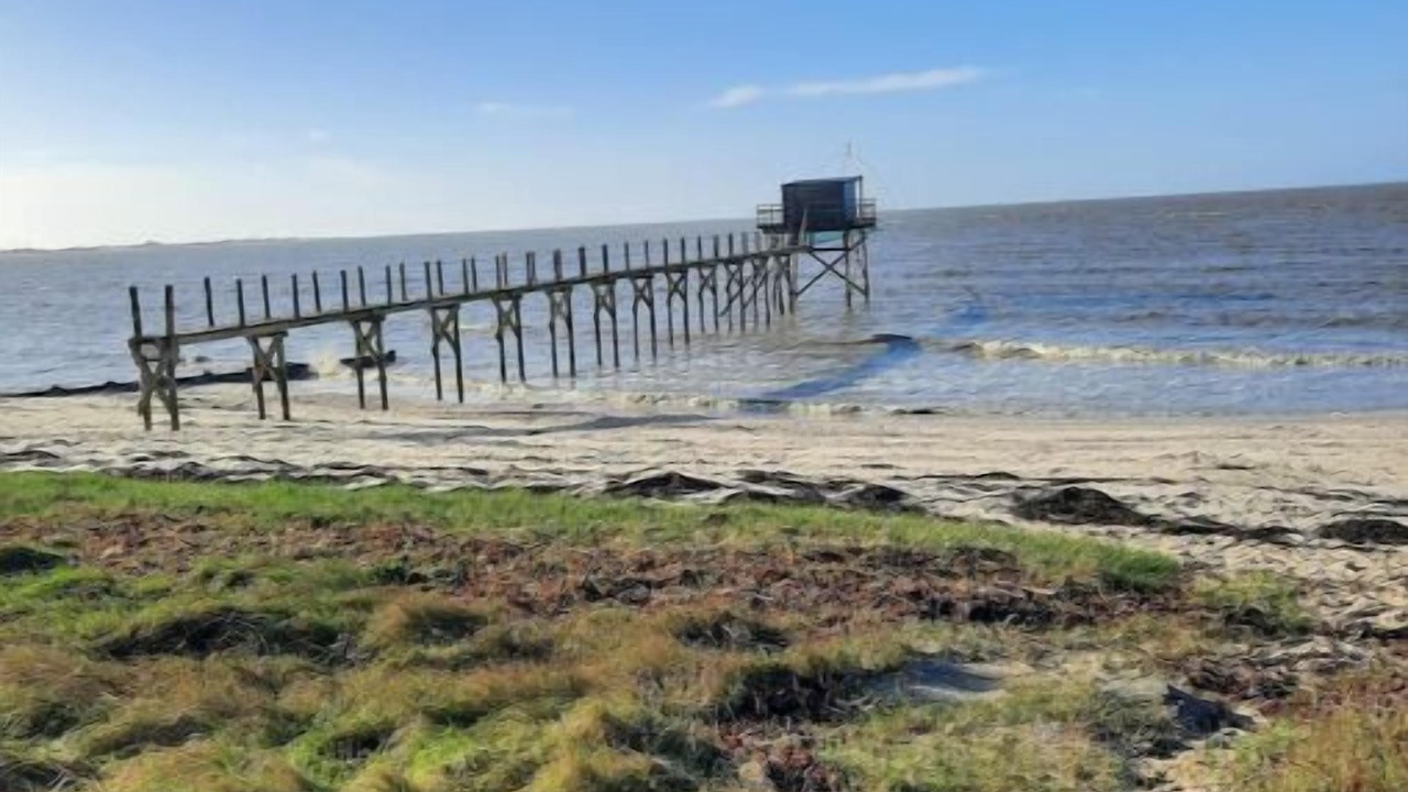 Photo of Others in Pornic