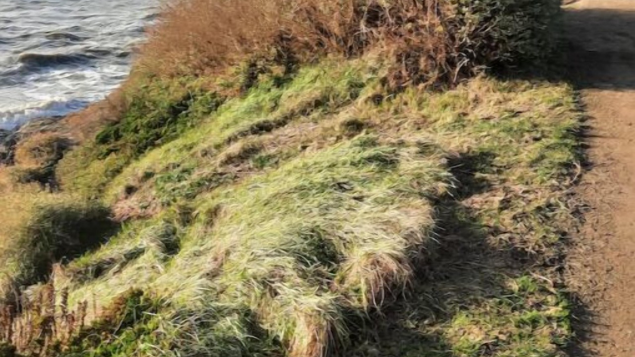 Photo of Others in Pornic