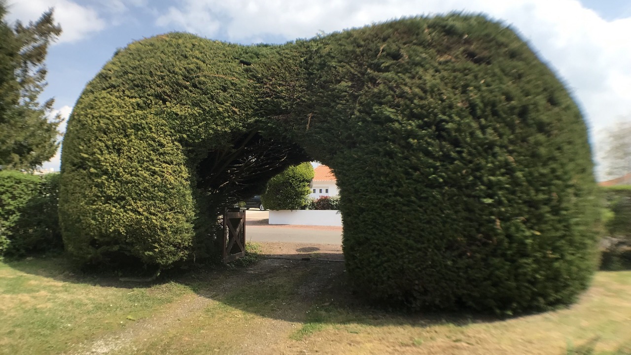 Photo of Others in Landevieille