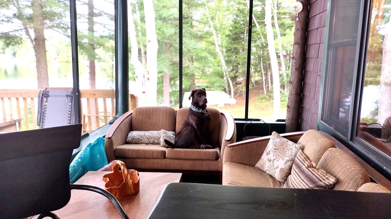 Photo of Livingroom in Tupper Lake