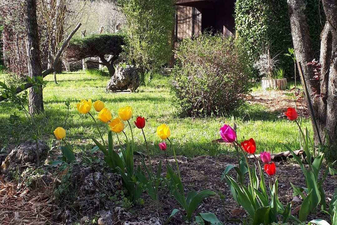 Photo of Outdoor in Alzon