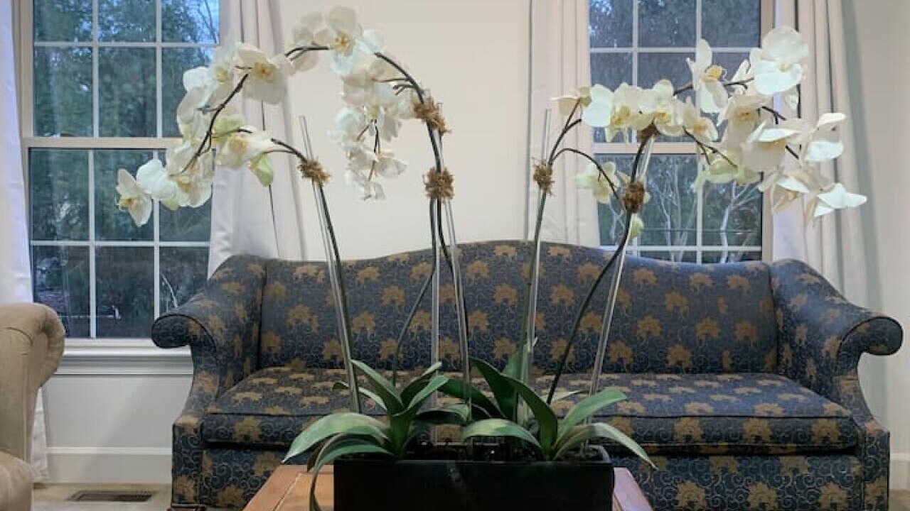 Photo of Livingroom in North Laurel