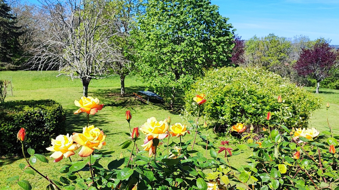 Photo of Outdoor in Cenac-et-Saint-Julien