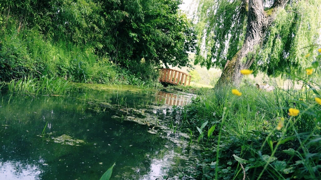 Photo of Outdoor in Biran