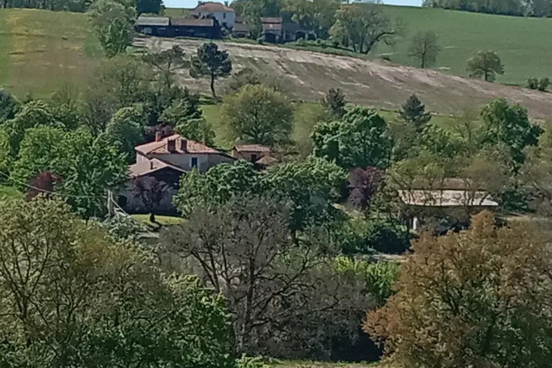 Photo of Outdoor in Biran