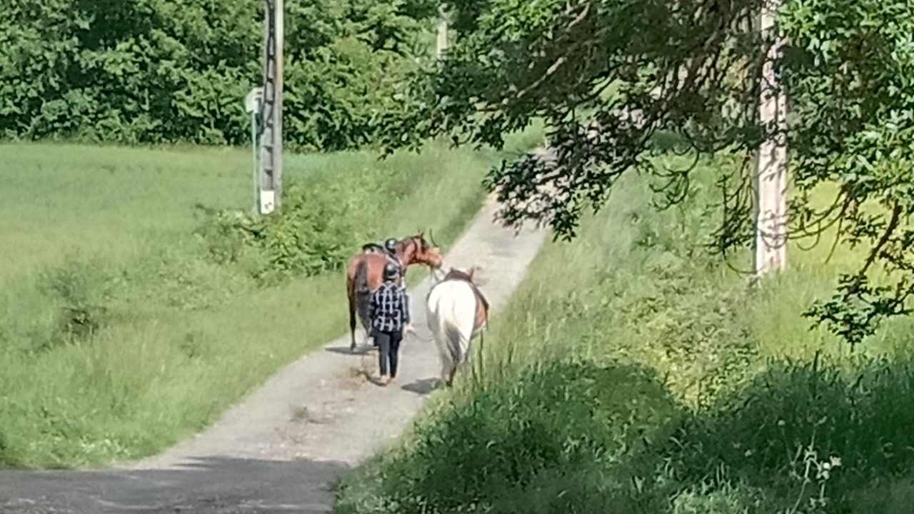 Photo of Outdoor in Biran