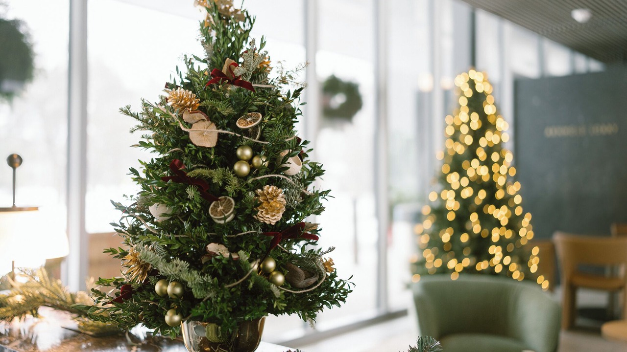 Photo of Others in Arlington