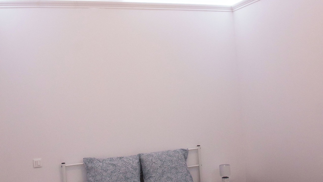 Photo of Others in Cintegabelle