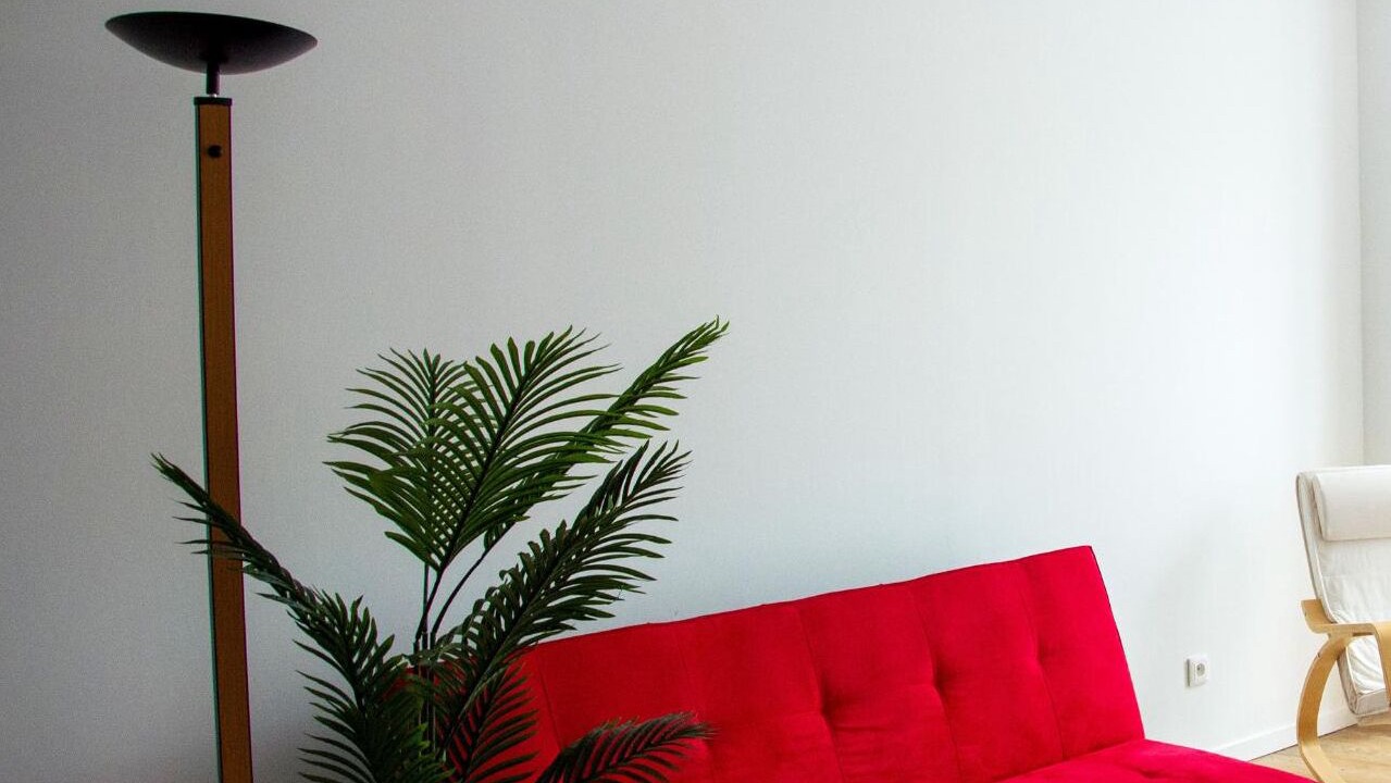 Photo of Livingroom in Cintegabelle