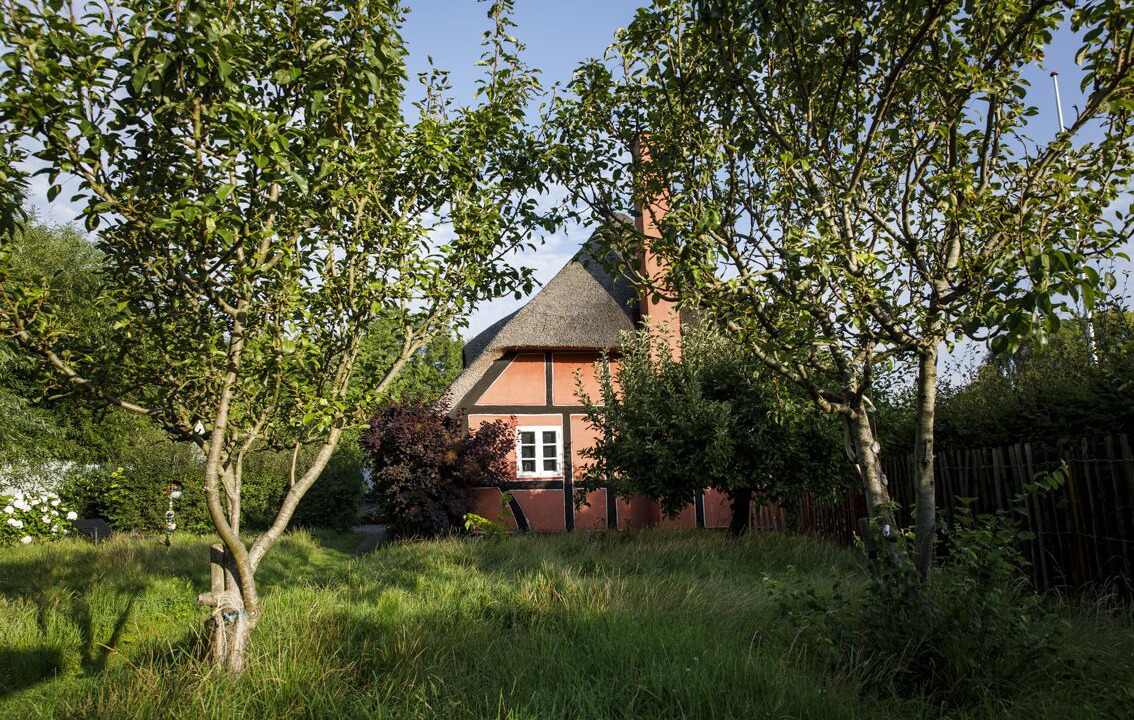 Photo of Outdoor in Aeroskobing