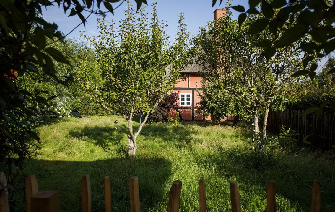 Photo of Outdoor in Aeroskobing