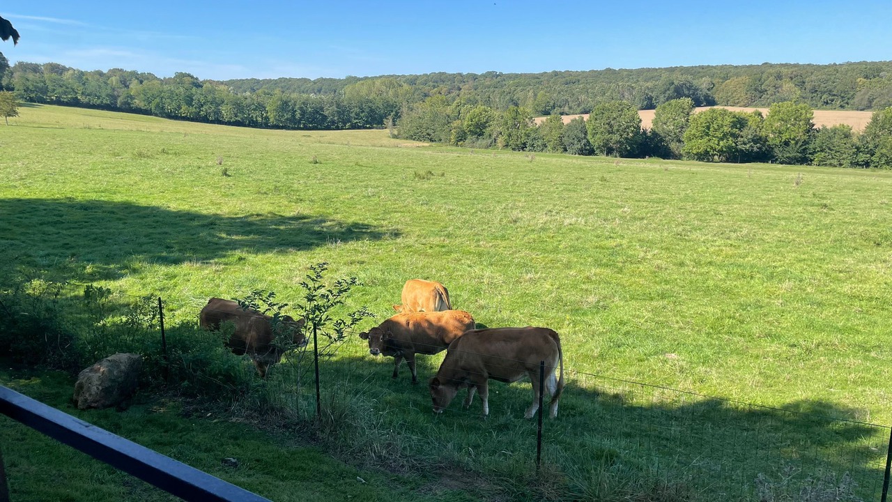 Photo of Outdoor in Maurevert