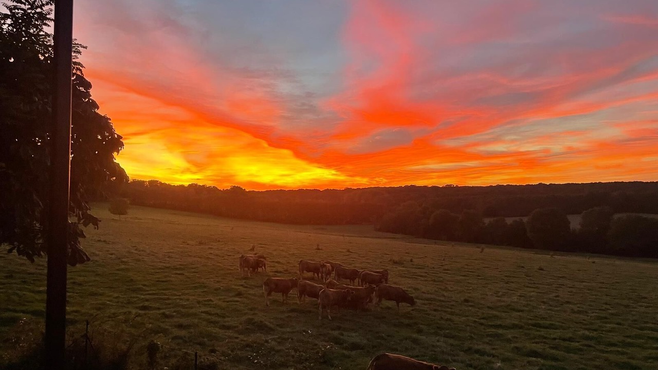 Photo of Others in Maurevert