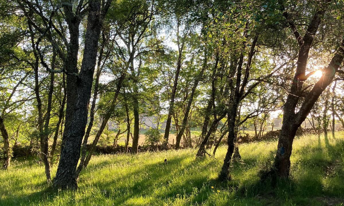 Photo of Outdoor in Bonar Bridge