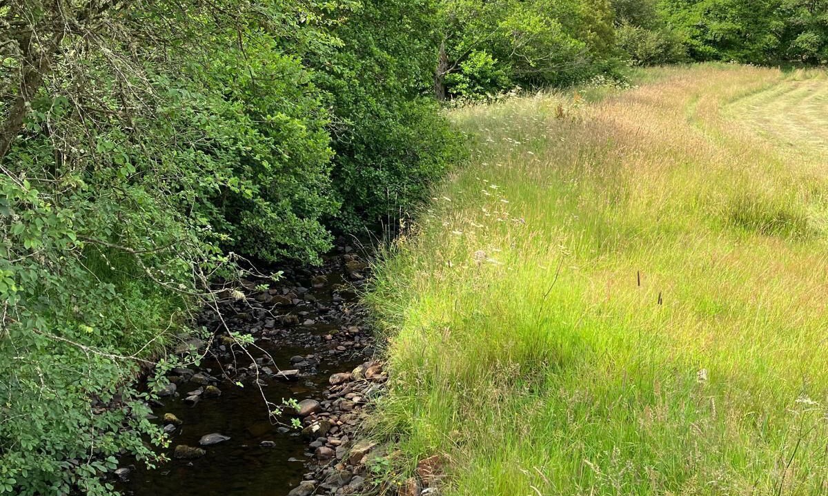 Photo of Others in Bonar Bridge